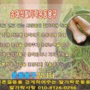 손태석 발가락운동용구 이미지