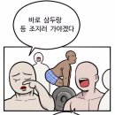 맥스체대입시수원교육원