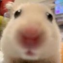 카페밀리 이미지