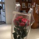 김광석사진관 | 📸대구 셀프사진관 커플 후기 | 그날의미술관 대구점 내돈내산 리뷰