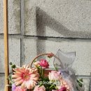 중앙로133번길 이미지