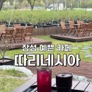 장성식농장 | 전남 장성 카페 추천 [따리네시아] 블루베리 음료로 유명한 카페/ 내돈내산/ 정읍근교카페/ 장성대형...