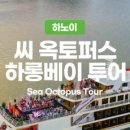 크루즈，cafe&sea