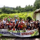 김삿갓면-35 이미지