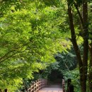 학동건강원 - 동구 학소로 126-1 | 학동건강원