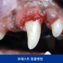 포레스트동물병원 이미지