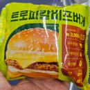 트로피칼 이미지