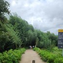 섬진강대나무숲길 | 구례 섬진강 대나무숲길 유모차 완전 가능 !!