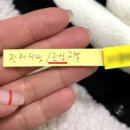 동네세탁소2 이미지