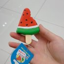 송이종합동물병원 이미지