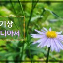 24. 9. 30(월) 열왕기상 2장, 갈라디아서 6장 이미지