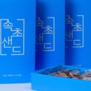 빈티지속초 이미지