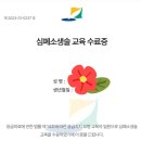 일반인 심폐소생술 표준 교육 프로그램(심화과정) 이미지