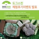 J0101 | 도그스킨 1차 이벤트 발표