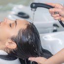 제제미용실 이미지