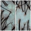 이삭토스트 정관점 | [부산/기장군] 올가드림뷰티 정관모전점