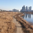 송도 달빛공원 이미지