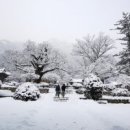 설경 이미지