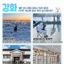 금풍낚시