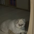 송민정세무사사무소