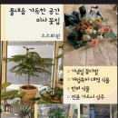 소소화원 이미지