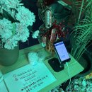 GS25송도커낼워크 이미지