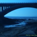 새만금군산횟집 이미지