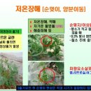 손해평가사 1차 - 재배학 및 원예작물학 이미지