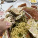 [포항 여행] 죽도시장 맛집 대게 식당 '영광회대게센타' 박달스페셜 후기