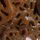 호접치자연팜 이미지