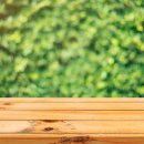 MY 행정사 사무소 이미지