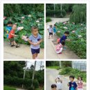 슈아브어린이집 이미지