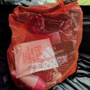 고아웃 | 제5회 2025 고아웃 슈퍼하이킹 '제주' 참여 후기(1)