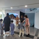 독도기획