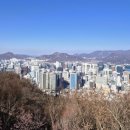 남산양만 - 894 | 남산양만