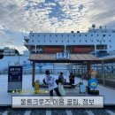 하선 | 울릉도 가는 방법 울릉크루즈 꿀팁 선착장 선상포차 하선시간 이용 후기