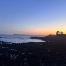 봉주르제주 이미지