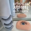 남창뷰티 | 울산 덕하 속눈썹 연장 펌 잘하는 곳 지아뷰티 덕신 남창 두피케어 맛집