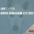 피움동물병원 이미지