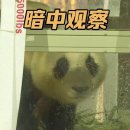 데구르르 이미지