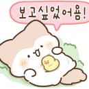 카페호호담