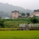 이른아침 캠핑장 이미지