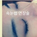 속눈썹미인