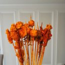 마라에 꼬치다 티스토리