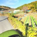 청룡동-35 이미지