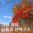 안버림연구소 | [공지] 가평 가을 단풍길, 청평중앙내수면연구소 가볍게 산책하기 좋은 코스