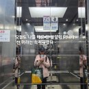 수묵화 | 단양 도락산 최단코스 산행기, 블랙야크 100대 명산 35좌 달성 후기 수묵화같은 풍경