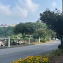 24시 전주콩나물국밥 생고기 김치찌개 이미지