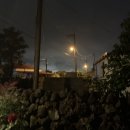 달코네민박 이미지