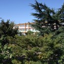 광평초등학교 이미지